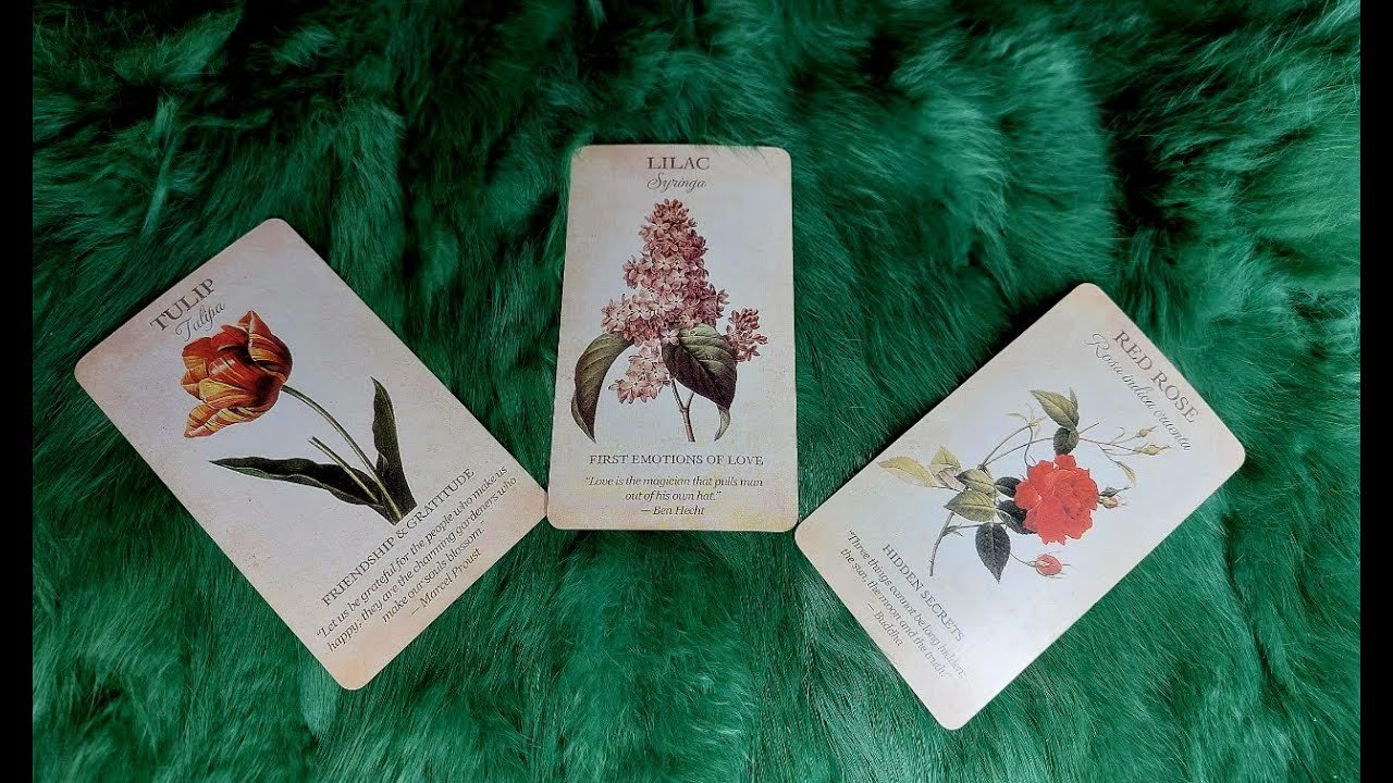 Leia mais sobre o artigo NGƯỜI SẼ CÙNG BẠN XÂY DỰNG MÁI ẤM GIA ĐÌNH LÀ AI? KHI NÀO HỌ ĐẾN?  @EvelynTarot