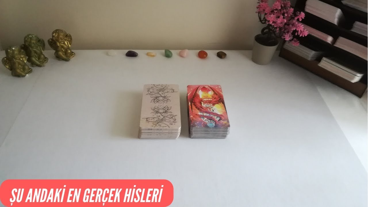 No momento, você está visualizando Şu Andaki En Gerçek Hisleri♥️Tarot