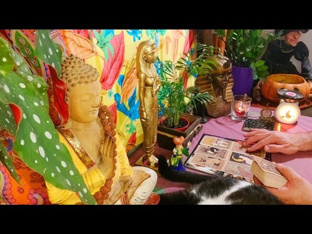 No momento, você está visualizando 🔮Sua**VIDA🔎NA MESA com🔮AS BRUXAS🧙♀️