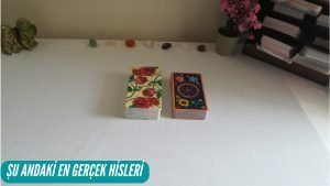 Leia mais sobre o artigo Tam Şu Anda Neler Hissediyor? Tarot