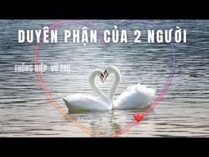 Leia mais sobre o artigo #tarot [BIGLOVE]♥️DUYÊN PHẬN CỦA 2 NGƯỜI NHƯ THẾ NÀO? #union #harmonymagiclove #timeless