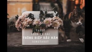 Leia mais sobre o artigo tarot: chọn tụ bài: thông điệp đầu năm