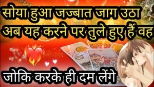 Leia mais sobre o artigo ❤ NO CONTACT SITUATION- THEIR CURRENT FEELINGS AND THOUGHTS NEXT ACTIONS- HINDI TAROT CARD READING