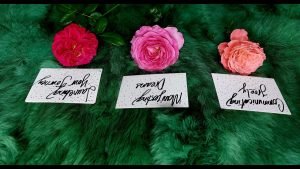 Leia mais sobre o artigo BẠN SẼ KHOÁC LÊN MÌNH SỰ ĐẲNG CẤP NÀO TRONG VÒNG 1 NĂM TỚI  @EvelynTarot