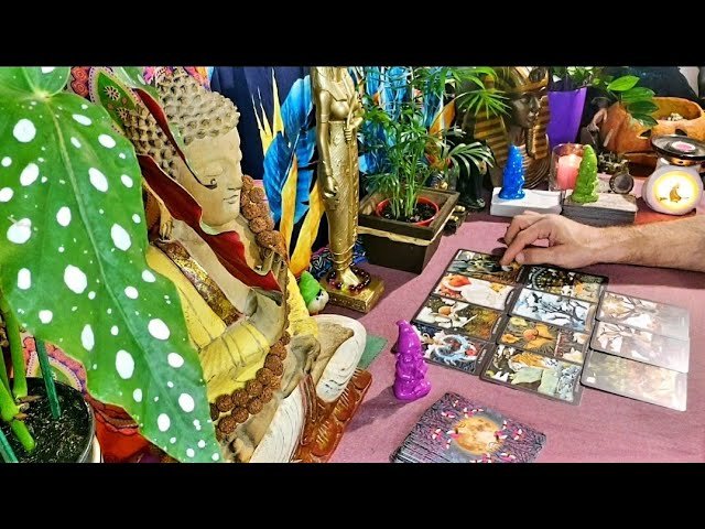 Leia mais sobre o artigo 📜Características💡do SEU**PRÓXIMO** RELACIONAMENTO💗