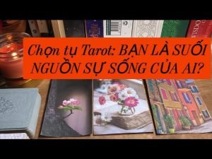 Leia mais sobre o artigo Chọn tụ Tarot: BẠN LÀ SUỐI NGUỒN SỰ SỐNG CỦA AI?
