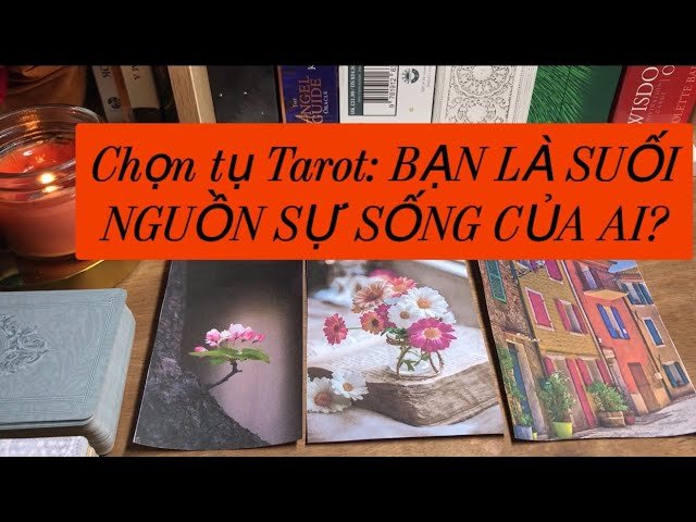 No momento, você está visualizando Chọn tụ Tarot: BẠN LÀ SUỐI NGUỒN SỰ SỐNG CỦA AI?
