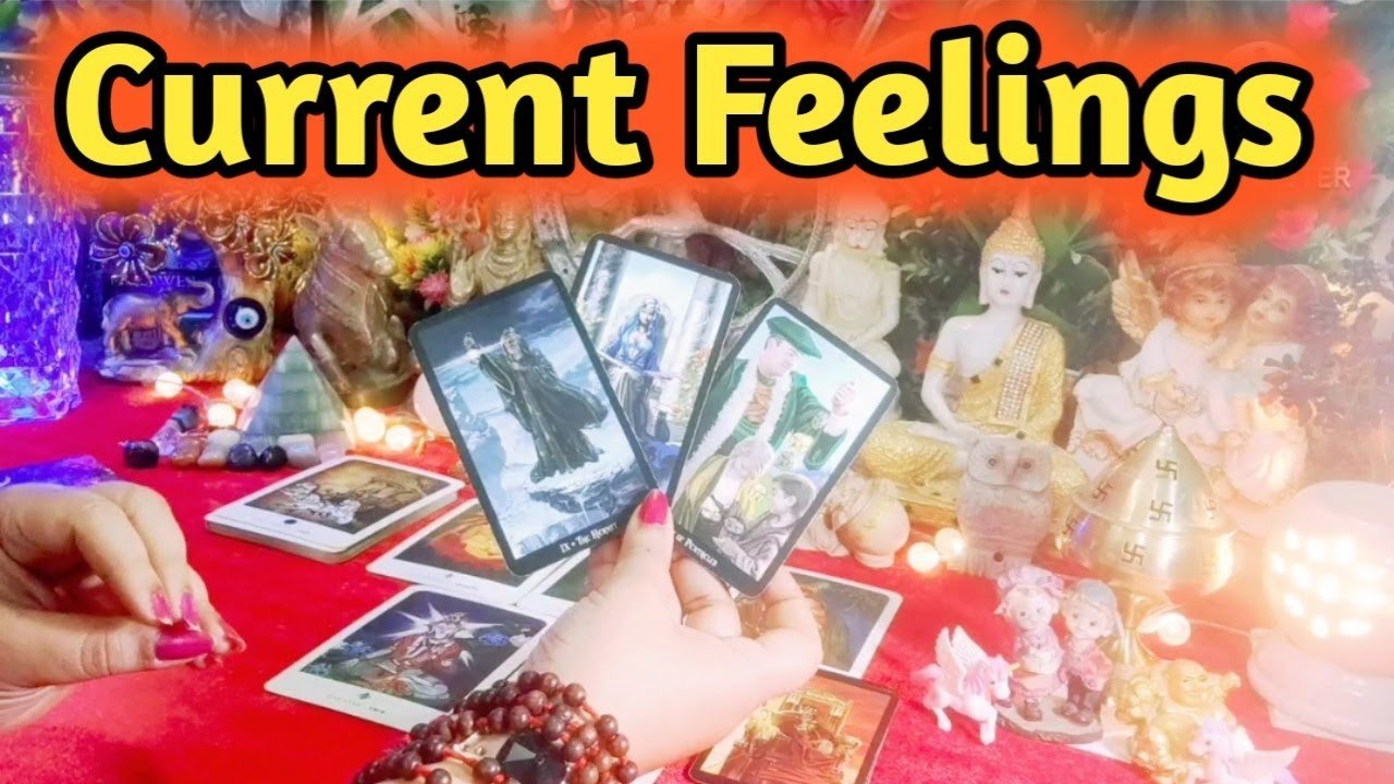 No momento, você está visualizando Current Feelings Next Action With Angel Guidance 😍😘 All Signs Collective Timeless Tarot 🌈