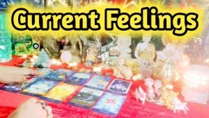 Leia mais sobre o artigo Current Feelings Next Action With Angel Guidance 💚❤ All Signs Collective Timeless Tarot