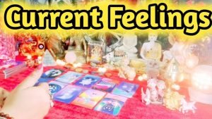 Leia mais sobre o artigo Current Feelings Next Action With Angel Guidance ❤💐❤ All Signs Collective Timeless Tarot