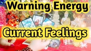 Leia mais sobre o artigo Current Feelings Next Action With Angel Guidance ❤✨❤ All Signs Collective Timeless Tarot