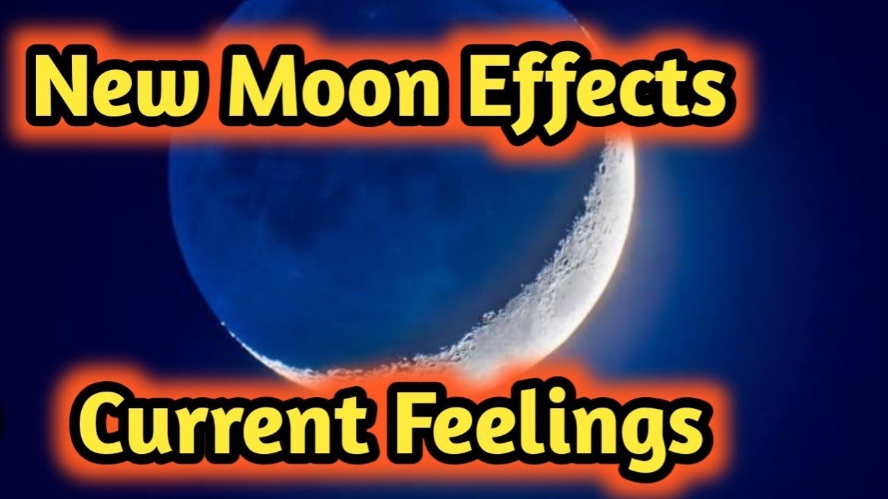 Leia mais sobre o artigo New Moon 🌙 Current Feelings Next Action With Angel Guidance 💛💚 All Signs Collective Timeless Tarot