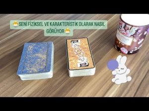 Leia mais sobre o artigo 🐣SENİ FİZİKSEL VE KARAKTERİSTİK OLARAK NASIL GÖRÜYOR🐣
