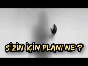 Leia mais sobre o artigo SİZİN İÇİN PLANI NE ? #tarot #erildişil #tarotfalı #ruheşi #ikizalev