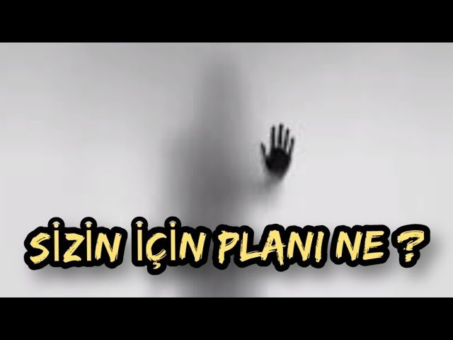 No momento, você está visualizando SİZİN İÇİN PLANI NE ? #tarot #erildişil #tarotfalı #ruheşi #ikizalev