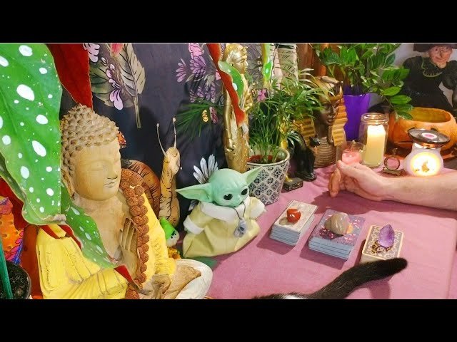 No momento, você está visualizando 🔮Sua**VIDA AMOROSA**na📜MESA