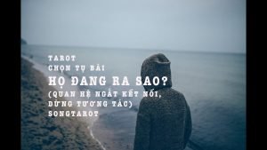 Leia mais sobre o artigo tarot: chọn tụ bài: họ đang ra sao? (quan hệ ngắt kết nối, dừng tương tác)