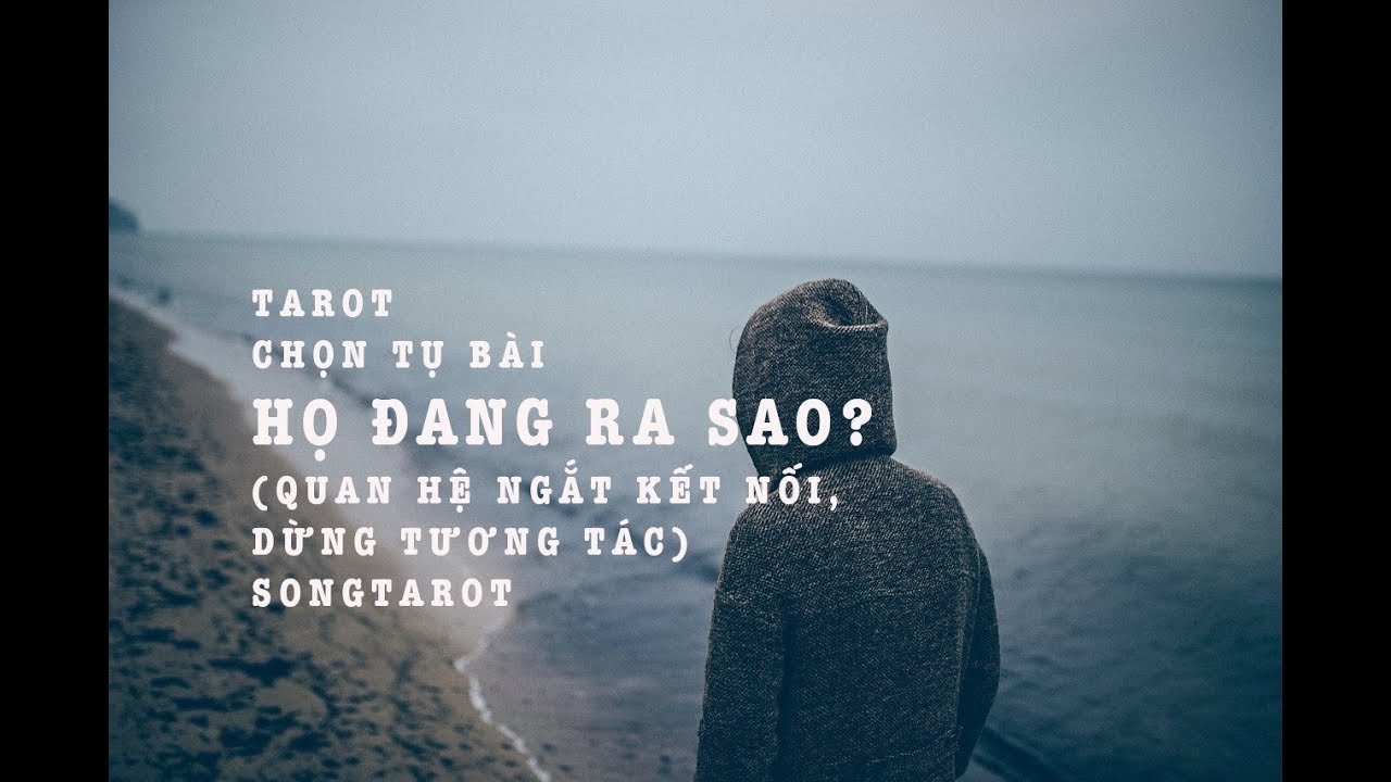 Leia mais sobre o artigo tarot: chọn tụ bài: họ đang ra sao? (quan hệ ngắt kết nối, dừng tương tác)