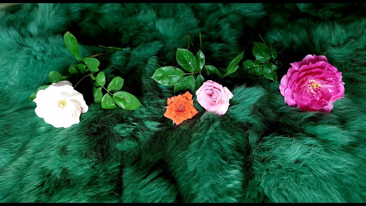 No momento, você está visualizando ƯỚC NGUYỆN NÀO CỦA BẠN SẼ TRỞ THÀNH SỰ THẬT TRONG 20 NGÀY TỚI ? @EvelynTarot