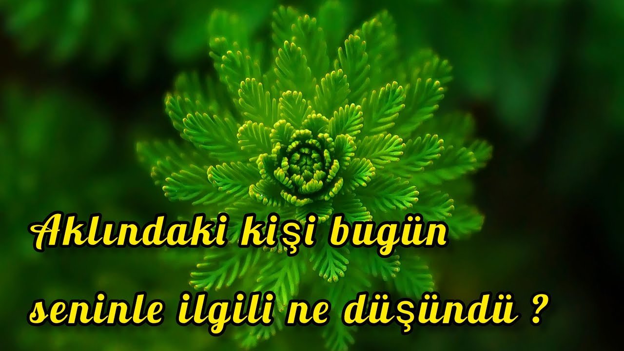 No momento, você está visualizando AKLINIZDAKİ KİŞİ BUGÜN SİZİNLE İLGİLİ NE DÜŞÜNDÜ?#aklımdakikişi #erildişilenerji #tarot #aboneol