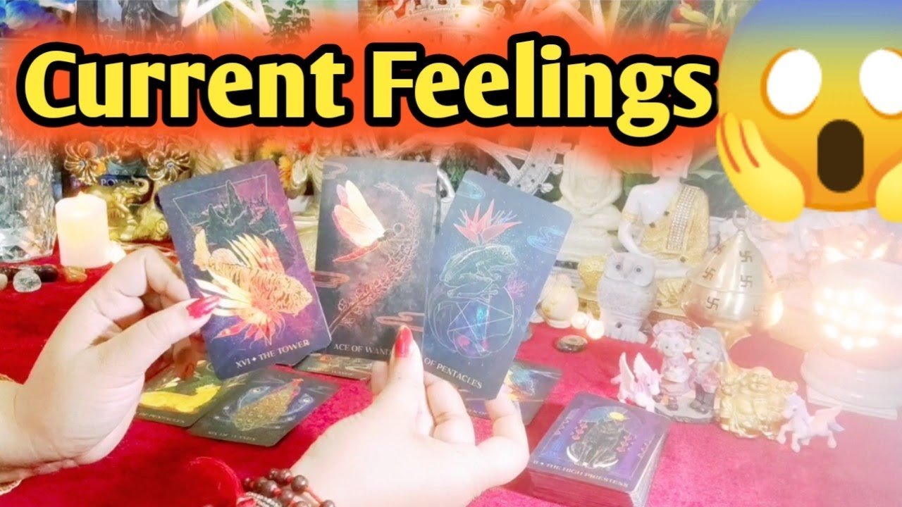 Leia mais sobre o artigo Current Feelings Next Action With Angel Guidance ✨❤ All Signs Collective Timeless Tarot Reading