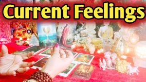 Leia mais sobre o artigo Current Feelings Next Action With Angel Guidance 💚❤ All Signs Collective Timeless Tarot Reading