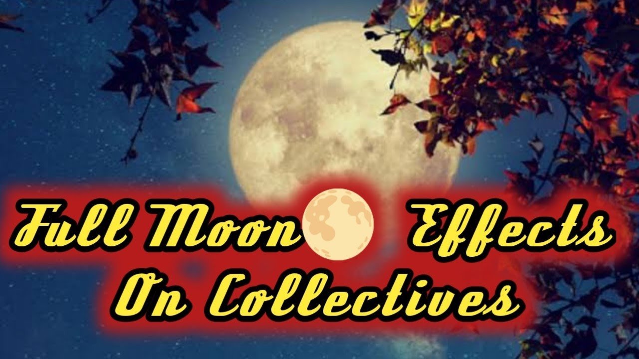 No momento, você está visualizando Full Moon🌕Effects On Collectives ❤💚Current Feelings Next Action🎬 All Signs Collective Timeless Tarot