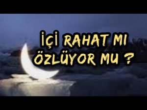 Leia mais sobre o artigo İÇİ RAHAT MI ÖZLÜYOR MU ? # #tarot #tarotfalı #erildişil #ikizalev #ruheşi #yasakaşk