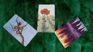 Leia mais sobre o artigo MỘT NỬA” CÒN LẠI CỦA BẠN KHI NÀO LỘ DIỆN ?  @EvelynTarot