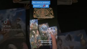 Leia mais sobre o artigo STELA FORTUNA Sta oseca prema meni? 💫 💞 🕊️ #tarot