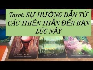 Leia mais sobre o artigo Tarot: SỰ HƯỚNG DẪN TỪ CÁC THIÊN THẦN ĐẾN BẠN LÚC NÀY