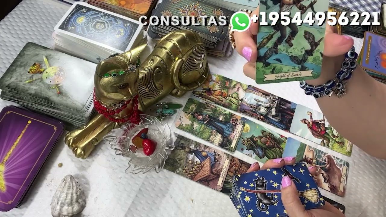 Leia mais sobre o artigo VISITÓ UN VIDENTE,QUEDÓ ATERRADO CON LO QUE LE DIJO,UNA GRAN 🕯️⏳🔮⛓️VERDAD#estrellafuentedevida