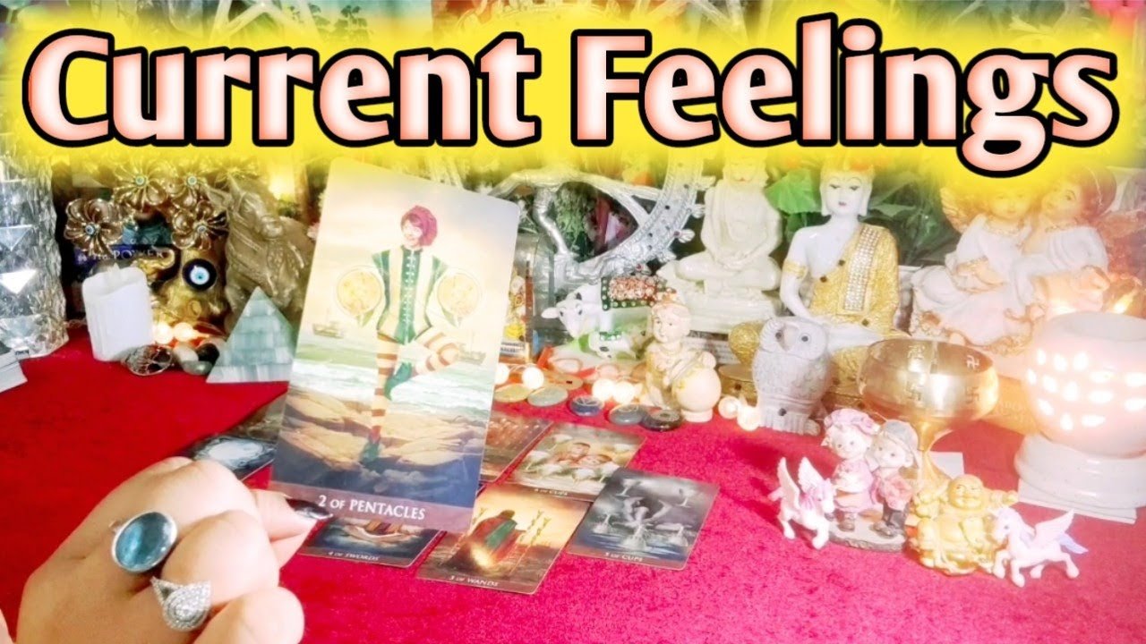 No momento, você está visualizando Current Feelings Next Action With Angel Guidance ☀🧚♂️ All Signs #collective #timeless #tarot #love🌈
