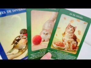 Leia mais sobre o artigo NO VEAS ESTE VIDEO SI NO QUIERES SABER LO QUE PLANEA HACER‼️