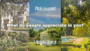 Leia mais sobre o artigo 🤩 Mọi người đánh giá cao ở bạn điều gì ? ⭐️ | Minnie Tarot