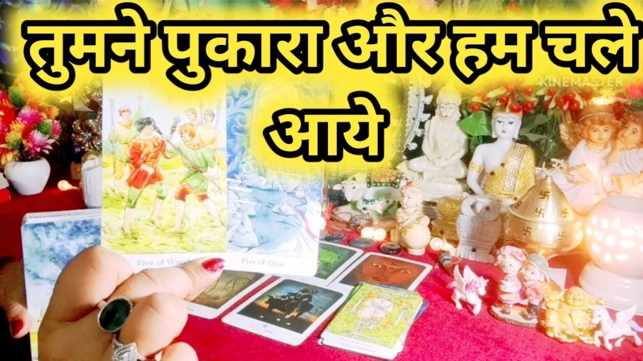 No momento, você está visualizando Current Feelings Next Action ❤💚 All Signs Collective Timeless Tarot