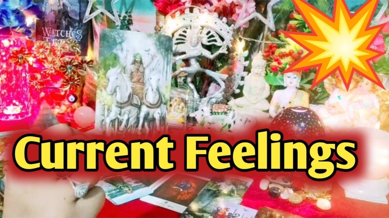 No momento, você está visualizando Current Feelings Next Action With Angel Guidance 💚❤ All Signs Collective Timeless Tarot Reading