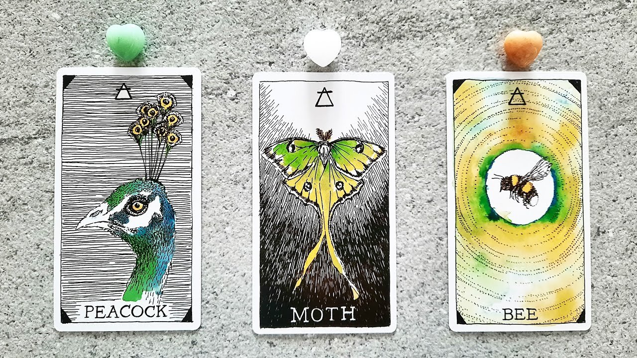 No momento, você está visualizando INCOMING MESSAGE FROM YOUR FUTURE SELF! 🦚🦋🐝 | Pick a Card Tarot Reading