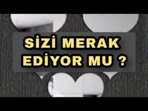 Leia mais sobre o artigo SİZİ MERAK EDİYOR MU  , EYLEMİ OLACAK MI ? #tarot #tarotfalı #erildişil #benidüşünüyormu #yasakaşk