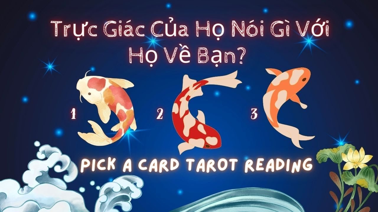Leia mais sobre o artigo Trực Giác Của Họ Nói Gì Với Họ Về Bạn? 👀❤️🕊️Chọn 1 Tụ Bài #xemtarot