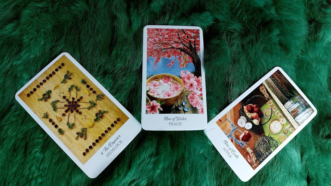 No momento, você está visualizando 🦚 BẠN ĐANG “CHIÊU CẢM” TƯƠNG LAI RỰC RỠ  NHƯ THẾ NÀO? ?  @EvelynTarot