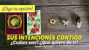 Leia mais sobre o artigo 💓👉 Estas son sus verdaderas intenciones contigo ❣️❓ TAROT INTERACTIVO