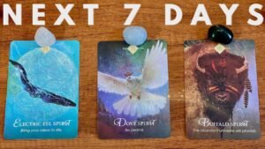 Leia mais sobre o artigo ✨ Pick A Card 《 Next 7 Days, What Will Be Revealed 》Weekly Tarot  Reading ✨