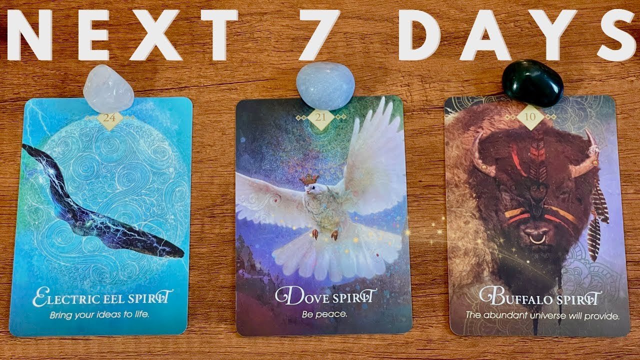 No momento, você está visualizando ✨ Pick A Card 《 Next 7 Days, What Will Be Revealed 》Weekly Tarot Reading ✨