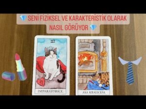 Leia mais sobre o artigo 💎 SENİ FİZİKSEL VE KARAKTERİSTİK OLARAK NASIL GÖRÜYOR 💎