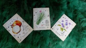Leia mais sobre o artigo ĐIỀU GÌ SẼ ĐẾN VỚI BẠN TRONG 7 NGÀY TỚI (5/6-11/6/2023) ? Evelyn Tarot