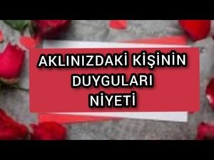 Leia mais sobre o artigo AKLINIZDAKİ KİŞİNİN DUYGULARI  , NİYETİ ? #tarot #tarotfalı #yasakaşk #aklımdakikisi #erildişil