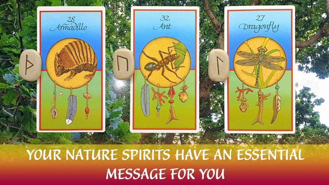 No momento, você está visualizando AN ESSENTIAL MESSAGE FROM YOUR NATURE SPIRITS🌳🪶🌳🦌So Many Blessings🌳🪶🌳 Pick a Card Timeless Tarot