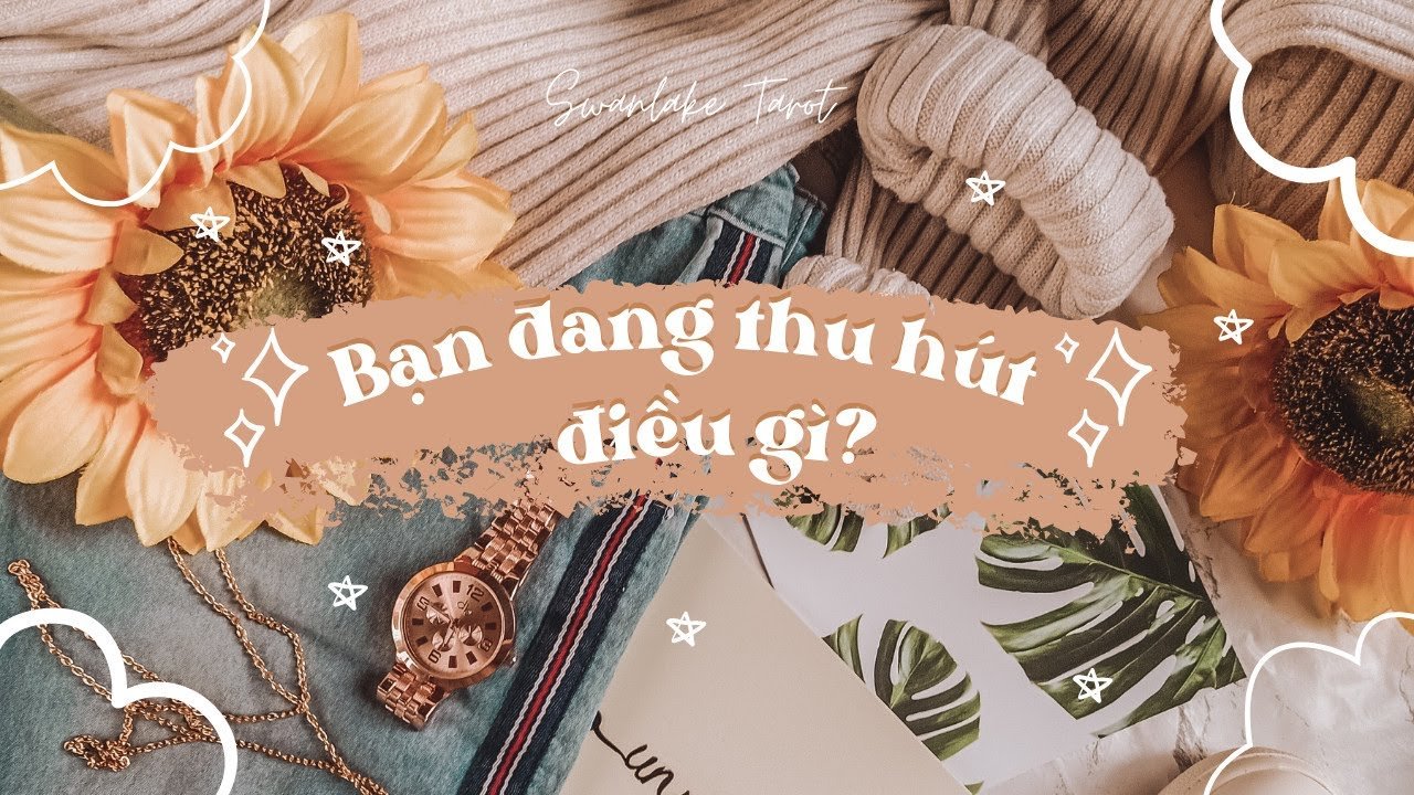 No momento, você está visualizando Bạn đang thu hút điều gì vào trong cuộc sống? || Swanlake Tarot
