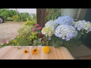 Leia mais sobre o artigo Chọn tụ bài: ĐIỀU MAY MẮN TRONG 3 THÁNG TỚI.